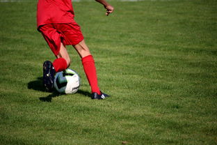 九游下载安装-鹈鹕青训体系被评为联盟样板项目，鹈鹕原来是哪个队
